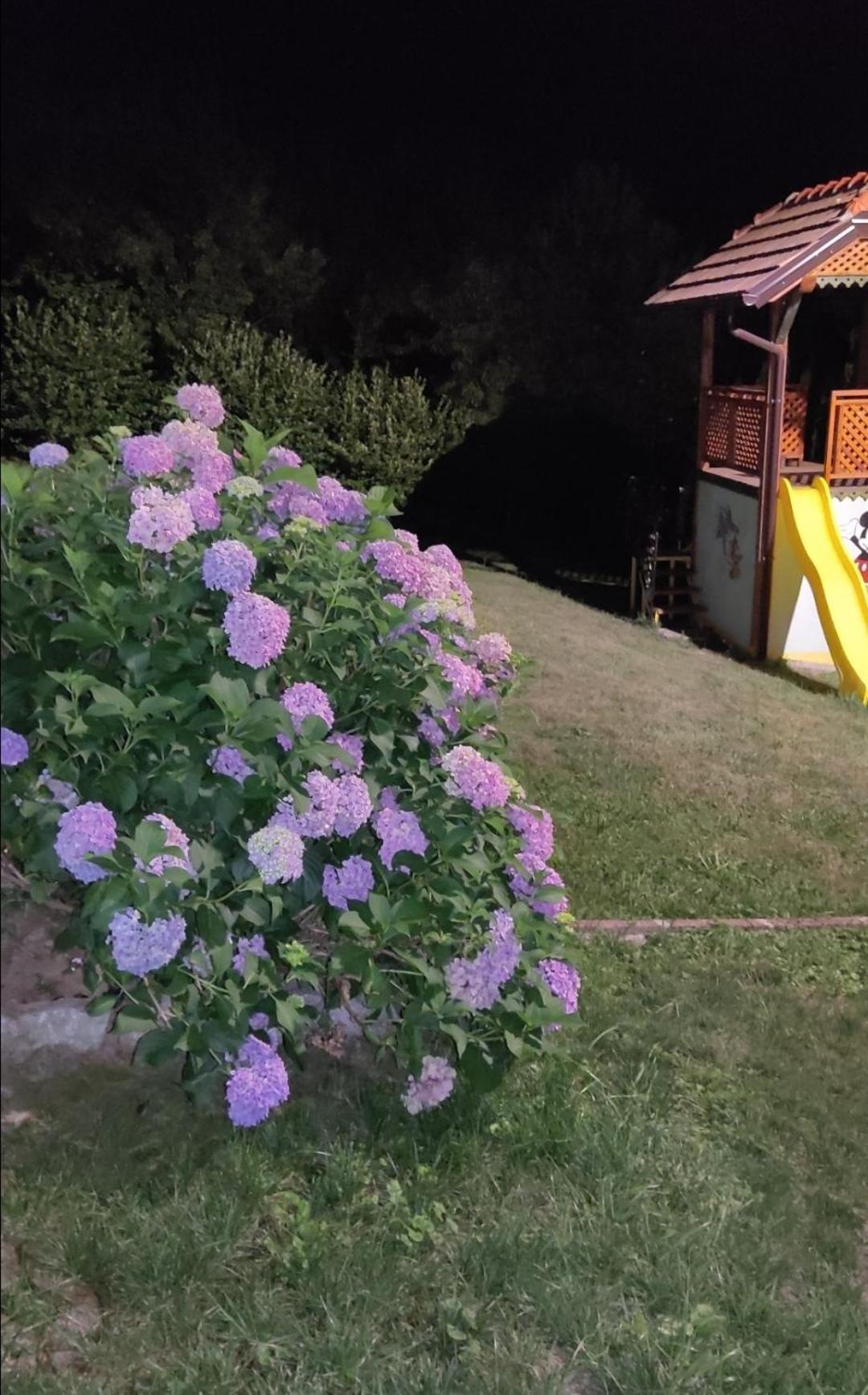 Holiday Home Pharaoh Visoko Kültér fotó
