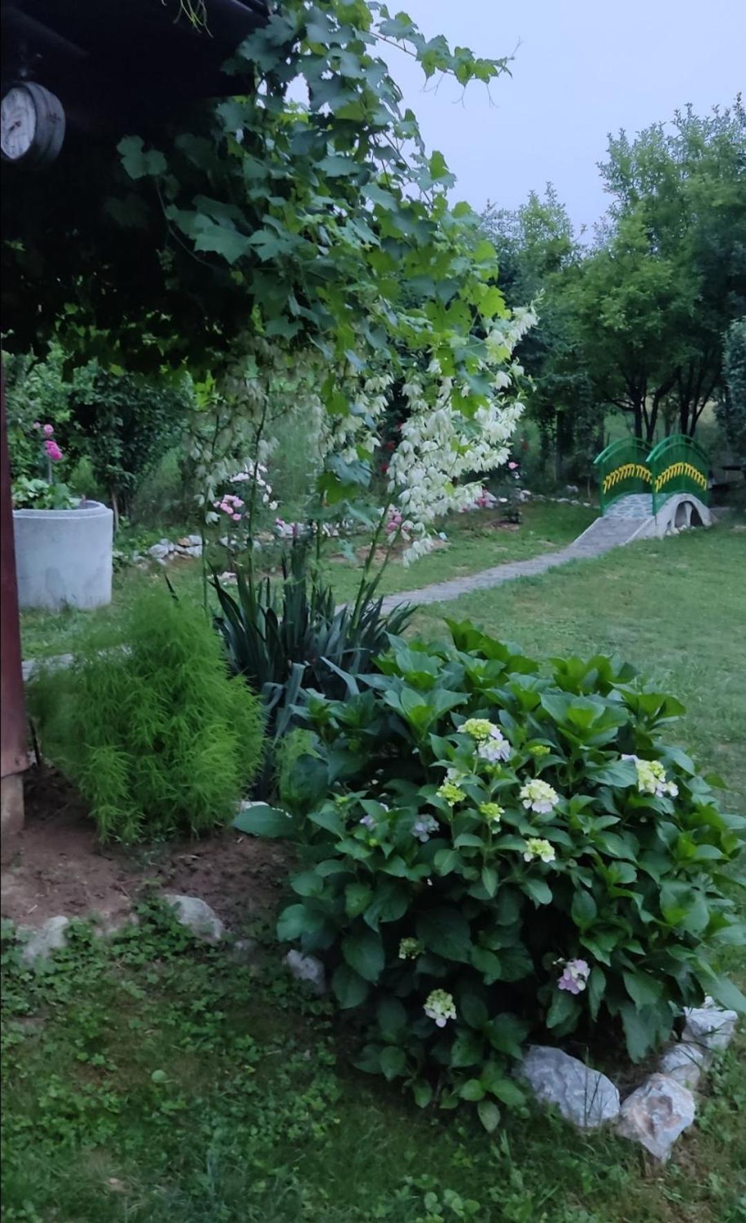 Holiday Home Pharaoh Visoko Kültér fotó